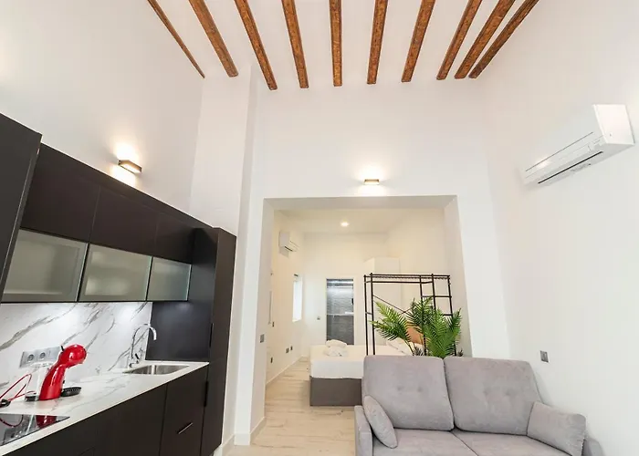 Allo San Roque 2ºb * Cadice